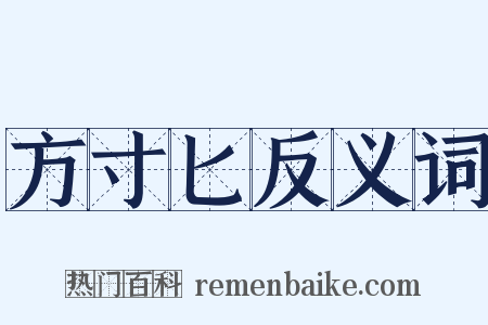 方寸匕反义词是什么意思的图片